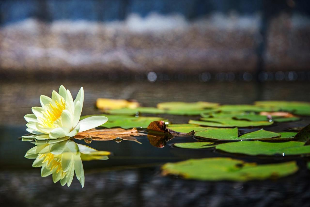 Kurashiki Ivy Square Hotel Bagian luar foto